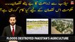 Floods destroyed Pakistan's agriculture, How will Government deal with it?