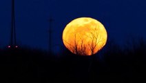 Rise of the Harvest Moon on Sept. 9-10