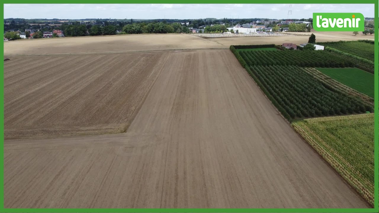 La ville de Namur a acheté des terres agricoles à Bouge