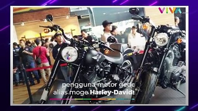 Duh! Moge Harley-Davidson Keciduk Isi Pertalite di SPBU
