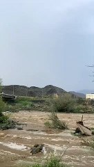 شاهد.. جريان السيول بوادي سبة بمحافظة قلوة