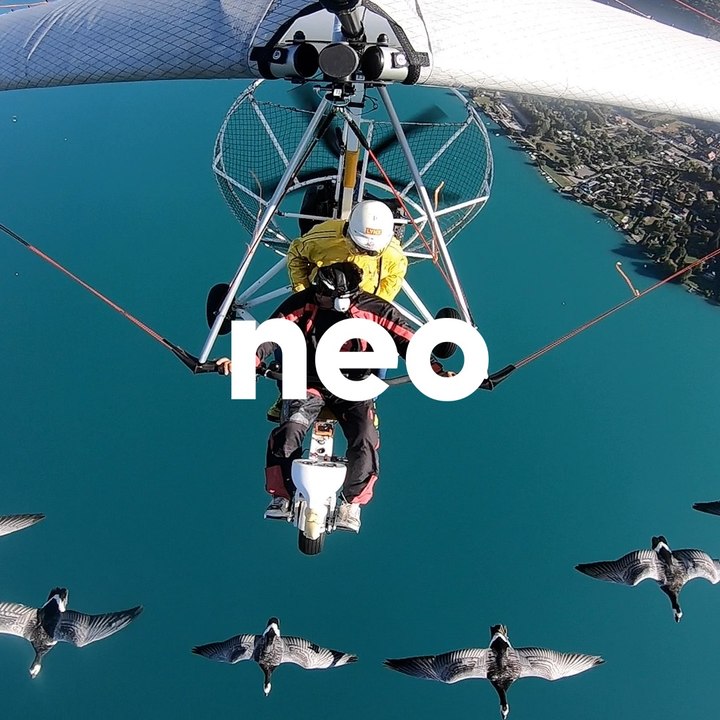 Ce pilote d'ULM vole avec des oies au-dessus du lac d'Annecy