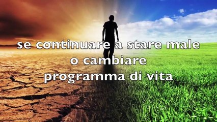 _Da balenottero a delfino_, il mio Digiuno da Salvatore Paladino