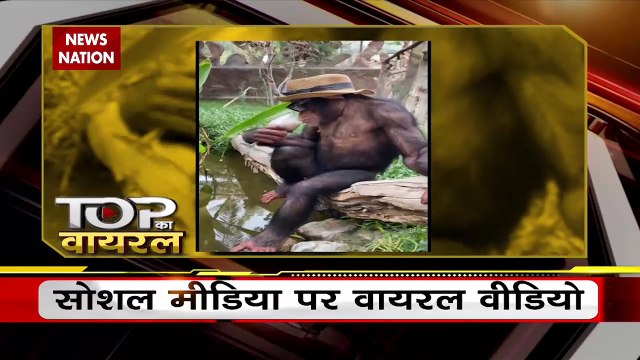 Viral Video : बुल से से खिलवाड़ पड़ सकता है महंगा, देखें वीडियो