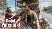 Gonca ve Toprak'ın tavuklarla yolculuğu! - Gül Masalı 11. Bölüm