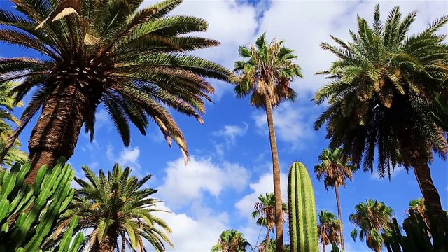 Relaxation Music Video Drone shots!ambient meditation music!meditation music!soothing Relaxation and meditation music!