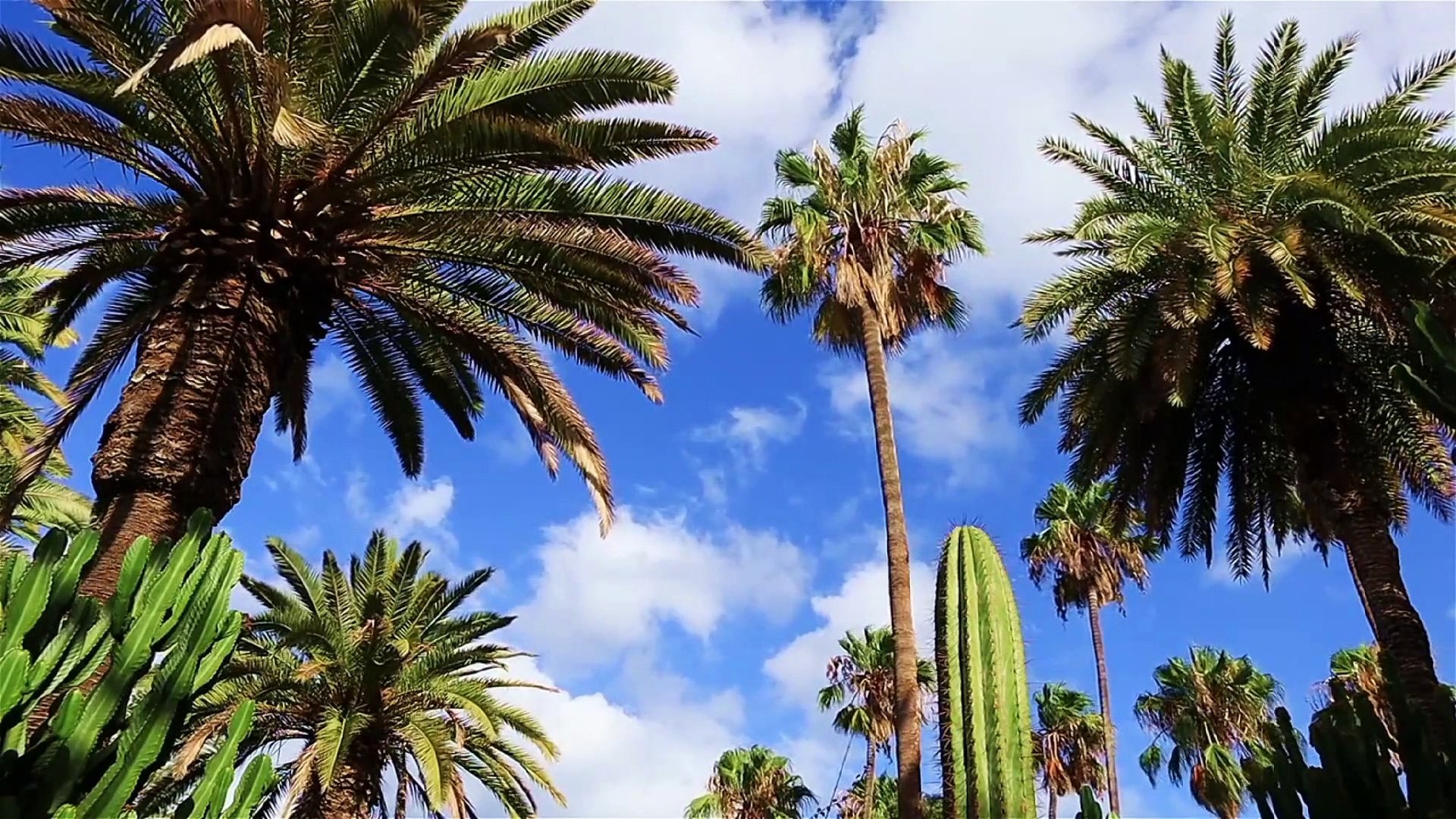 ⁣Relaxation Music Video Drone shots!ambient meditation music!meditation music!soothing Relaxation and