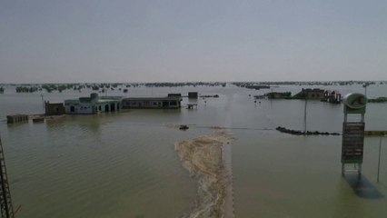 1300 قتيل بفيضانات باكستان.. وخسائر بقيمة 10 مليارات دولار