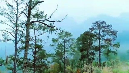 On Cloud Nine | Official Trailer | Mind Trio | Eng Sub | (HD) | BL SERIES |