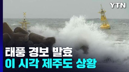 아침 8시부터 제주도 전역 태풍 경보 발효...힌남노 북상에 '긴장' / YTN