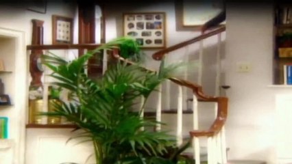 Das Leben Und Ich Staffel 4 Folge 17 HD Deutsch