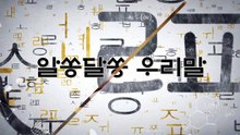 알쏭달쏭 우리말 18회