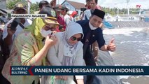 Panen Udang Bersama Kadin Indonesia