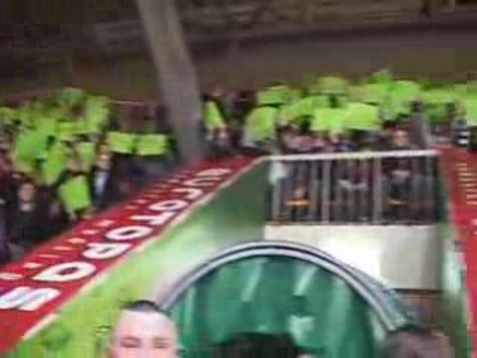 "Žalgirio" fanai