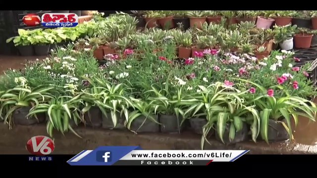 Girl Makes Bio-Degradable Pots From Groundnut Shells To Replace Plastic Bags | V6 Weekend Teenmaar