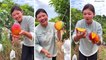 Chinese girl eat sweet mango | Amazing fruit mango | Chinese mango | red mango | wow video | Video 2022