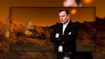 ఎలాన్ మస్క్ మార్స్ కల II Elon Musk's Plan To Colonize Mars II SEENU CONNECTS II SPACEX#elonmuskmars