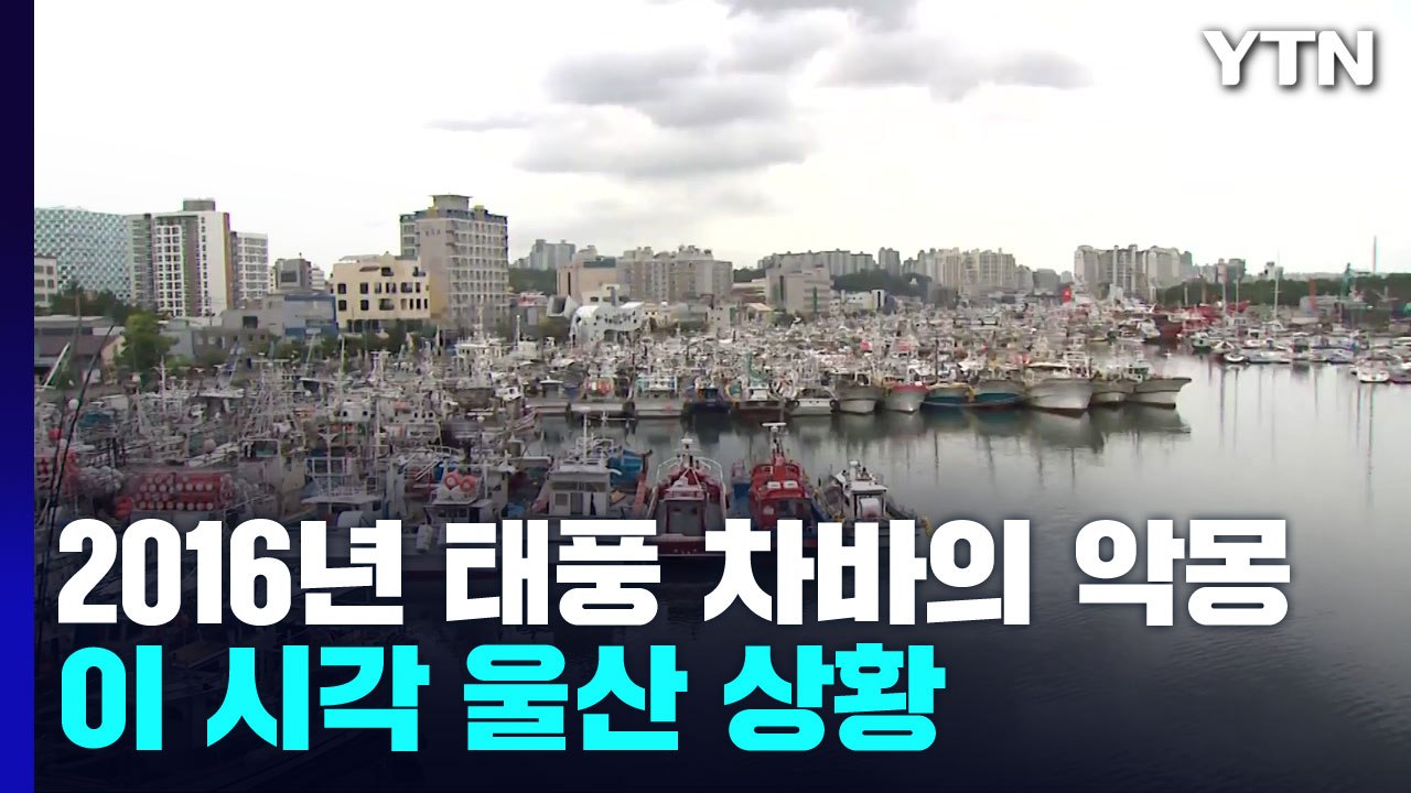 태풍 경로 울산...피해 발생할까 노심초사 / YTN