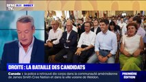 La nouvelle bataille des chefs à droite pour désigner le président des Républicains