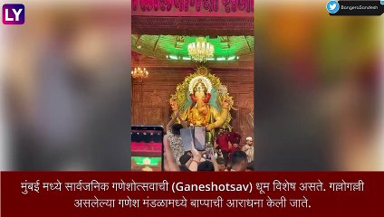 मुंबई मध्ये रात्री सार्वजनिक गणपतींच्या दर्शनासाठी BEST कडून खास Hop On Hop Off बस