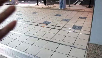 新買鏡頭的對焦好快呦 #忠駝論壇 #上推薦 #上热门 #夏日雲端音樂節 #fyp #fypシ #foryou #foryoupage #viral @Zach King