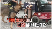 [세상만사] 마약 탐지견 덕분에 27,000회 분량 코카인 밀수 적발 / YTN