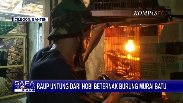 Mantan Karyawan Perusahaan BUMN Raup Cuan dari Hobi Ternak Burung Murai di Usia Pensiun nya