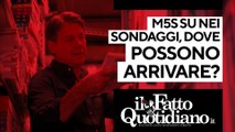 M5S su nei sondaggi, dove possono arrivare? Segui la diretta con Peter Gomez