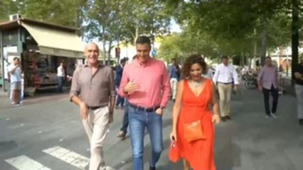 Sánchez y Feijóo se miden el martes en el Senado