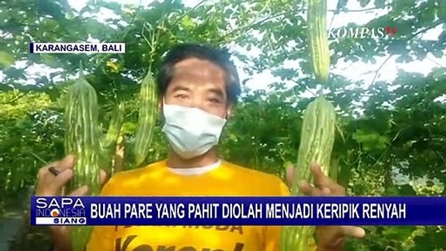 Camilan Unik! Pria di Bali ini Berhasil Olah Buah Pare jadi Keripik yang Gurih dan Renyah!