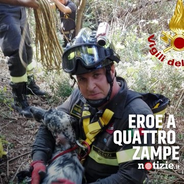 Precipita in una voragine, Mara salvata dai vigili del fuoco