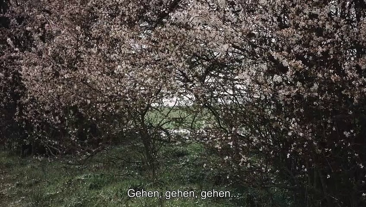 Nicht verRecken Trailer DF