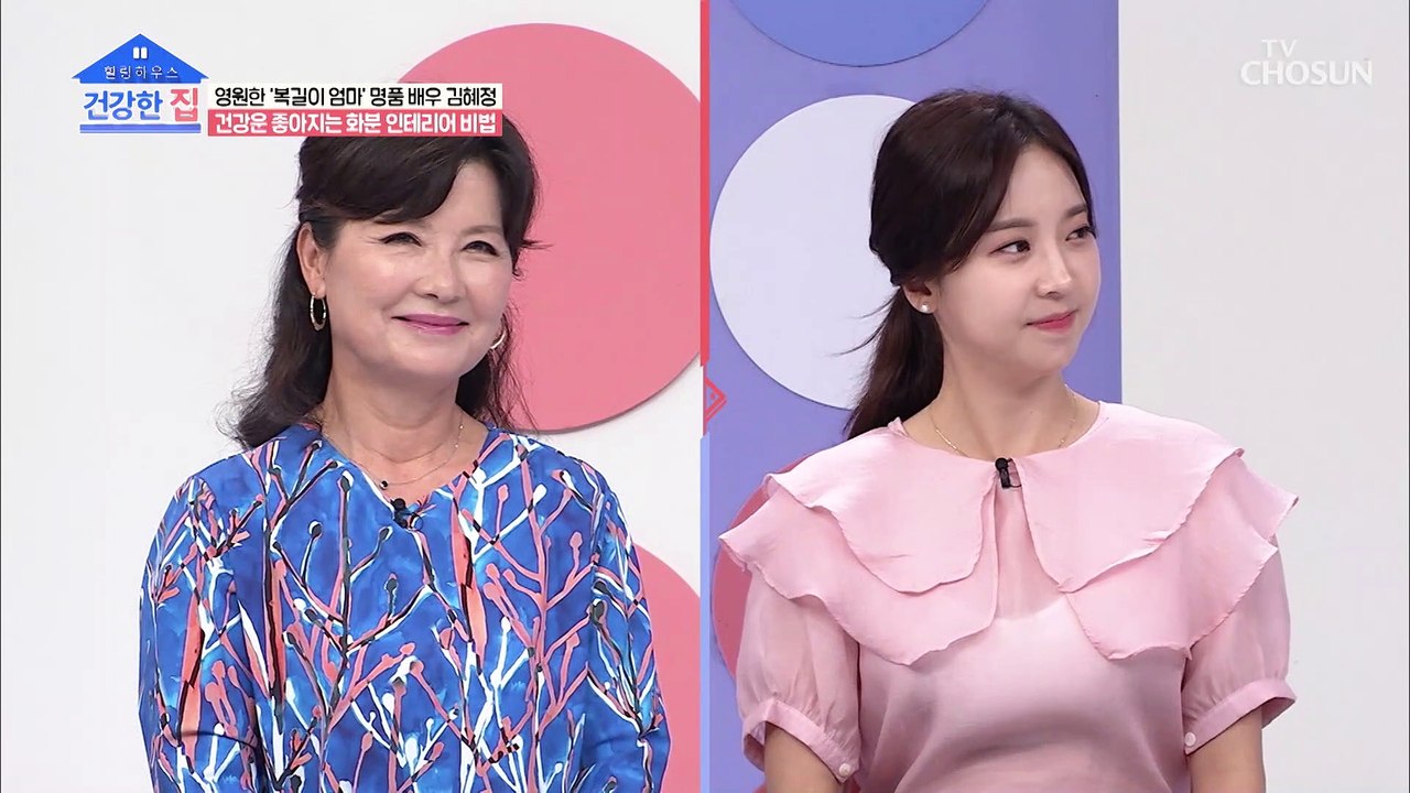 건강운이 좋아지는 환분 인테리어 비법 TV CHOSUN 20220905 방송