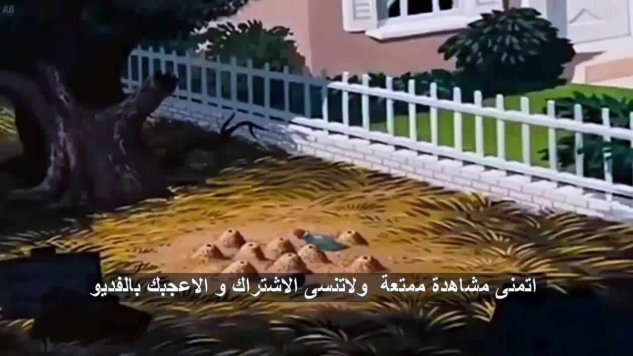 افلام كرتون-بطوط و النمل-عرض جديد 2022-الحلقة كاملة-HD