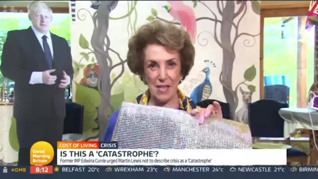 Martin Lewis holds head in hands as former MP suggests putting tin foil behind radiators