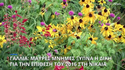 Γαλλία: Μαύρες μνήμες ξυπνά η δίκη για την επίθεση της 14ης Ιουλίου 2016