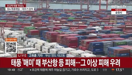 태풍 특보 내린 부산…바람 점점 강해지며 긴장감