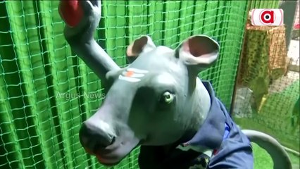 Box Cricket Ganesh theme pandal attracting devotees in Hyderabad