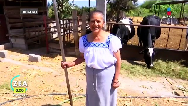 Después de no verse por 22 años, mamá se reencuentra con sus hijas