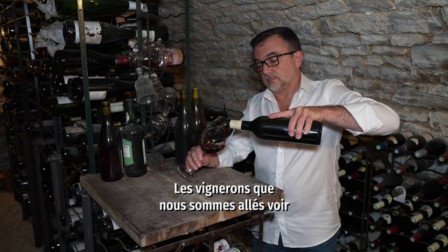 Spécial Vins 2022 : les vins secrets