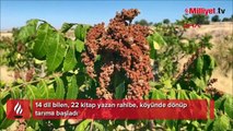 14 dil bilen, 22 kitap yazan rahibe, köyünde dönüp tarıma başladı