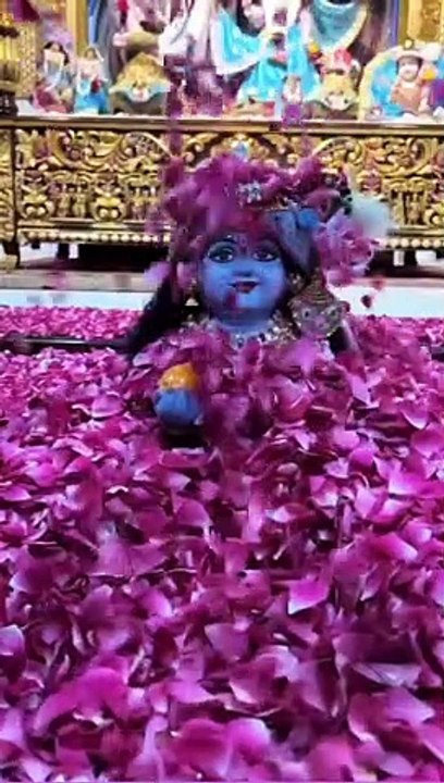Shei vrindavan bihari