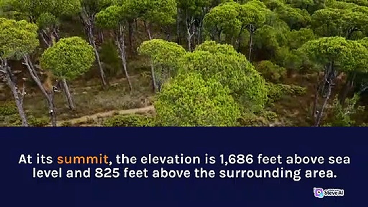 did you know