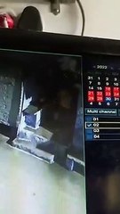 ग्वालियर में महिलाओं के अंडर गारमेंट्स चोरी कर रहा है यह चोर, तस्वीरें हुई सीसीटीवी में कैद