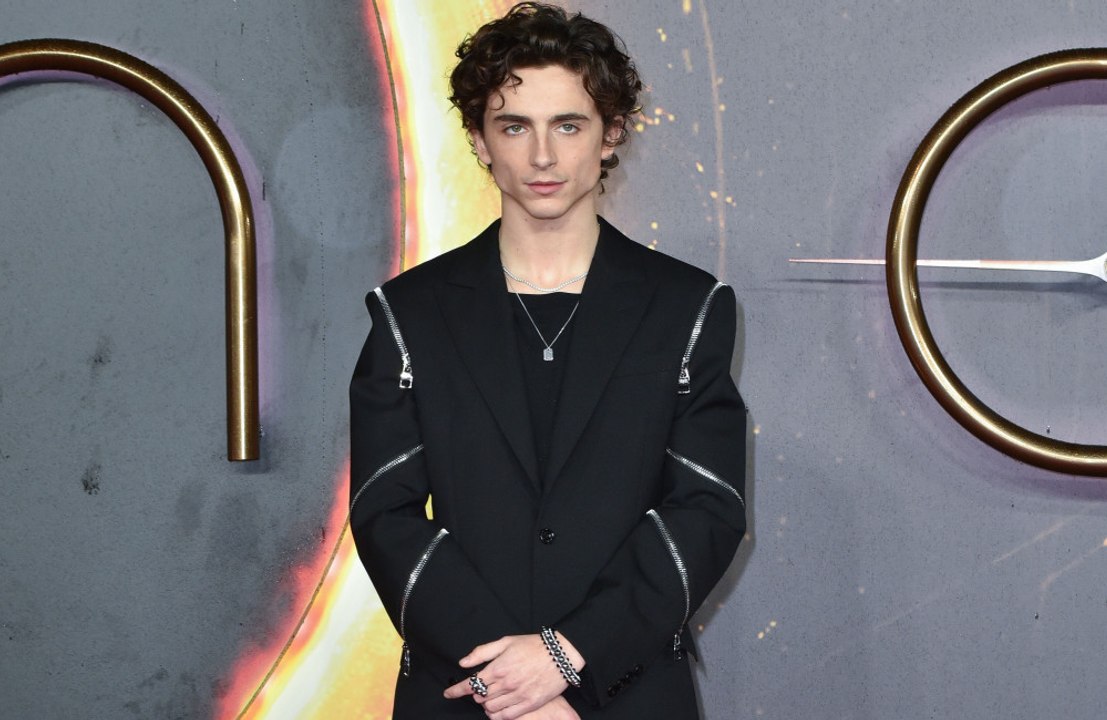 Timothee Chalamet: Er hasst Instagram   Co.
