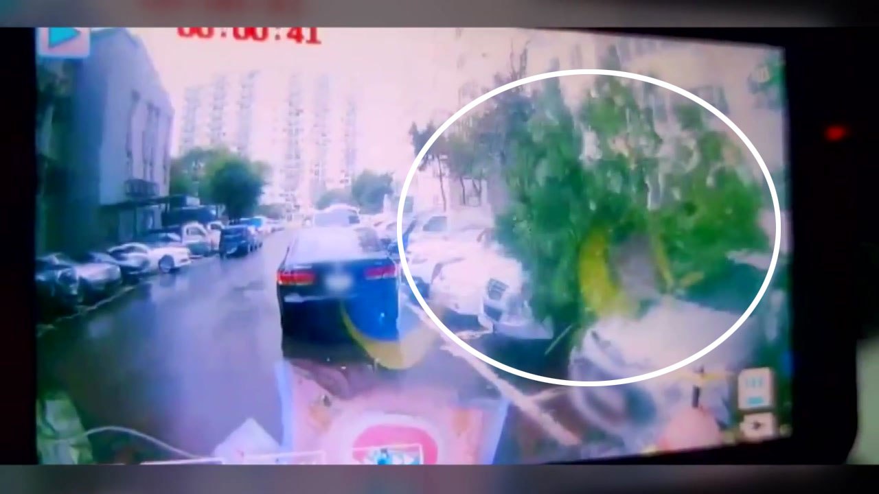 지붕 주저앉고 건물 외벽 뜯기고...태풍 '힌남노' 피해 상황 / YTN