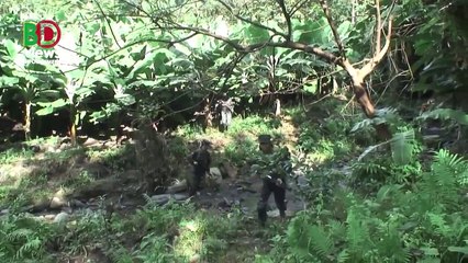 মিয়ানমারের সর্বশেষ অবস্থা! জেলেনস্কিকে আলোচনায় বসতে বলছে মার্কিন গণমাধ্যম!