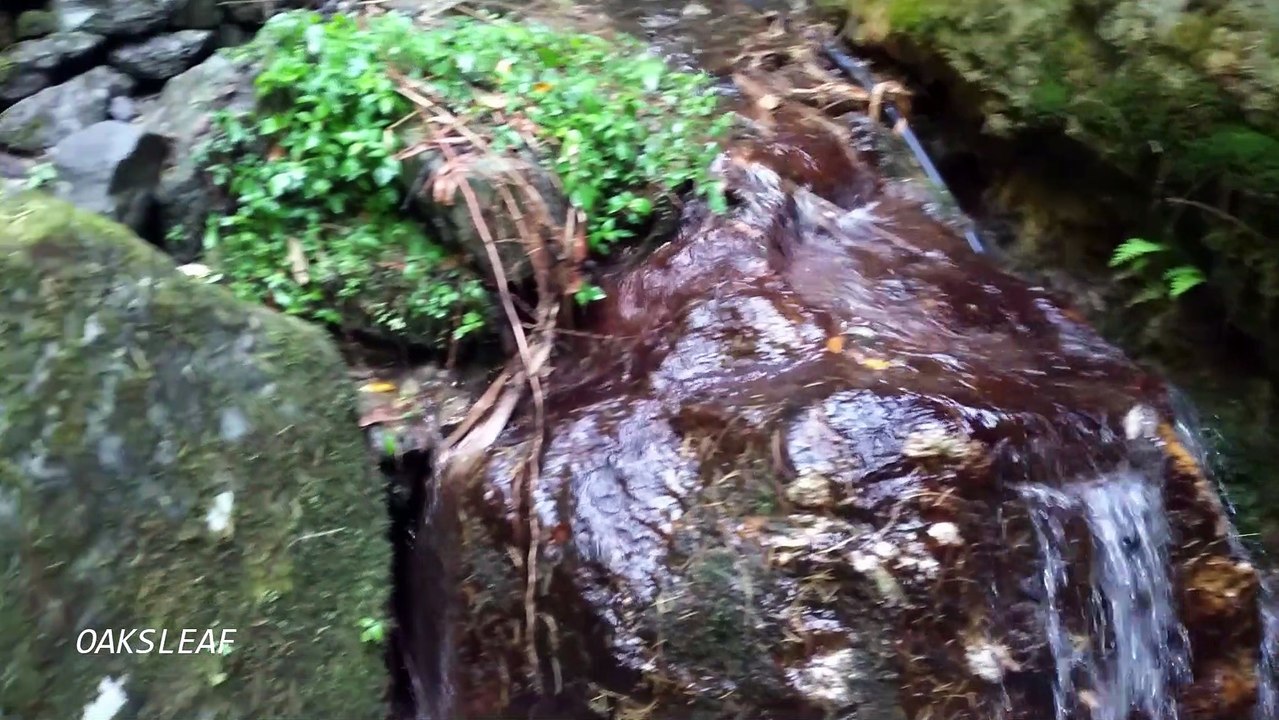 A small stream