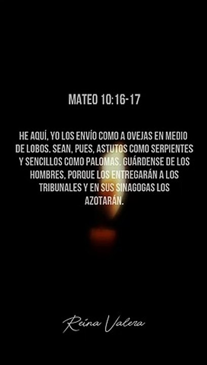 Mateo 10:16-17