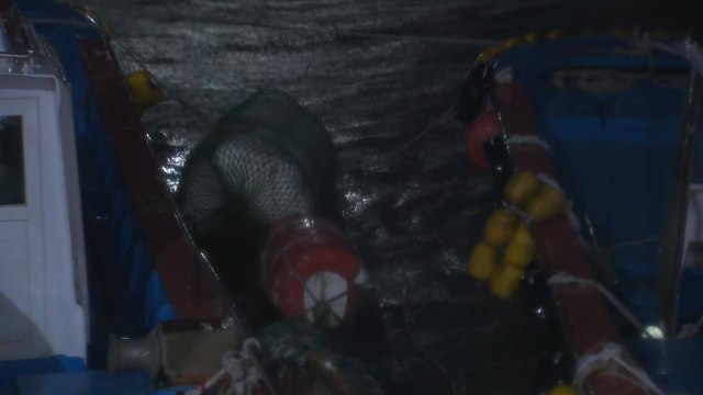 우산도 쓸 수 없었다 ...현재 완도 상황은? / YTN